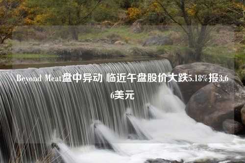 Beyond Meat盘中异动 临近午盘股价大跌5.18%报3.66美元