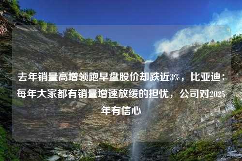 去年销量高增领跑早盘股价却跌近3%，比亚迪：每年大家都有销量增速放缓的担忧，公司对2025年有信心