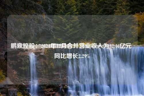 鹏鼎控股：2024年12月合并营业收入为32.46亿元 同比增长2.29%