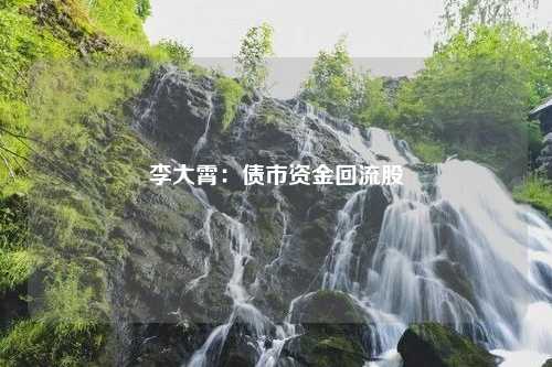 李大霄：债市资金回流股