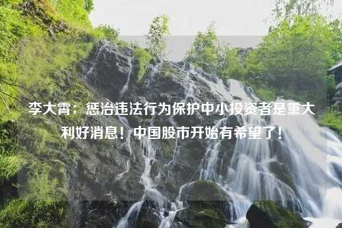 李大霄：惩治违法行为保护中小投资者是重大利好消息！中国股市开始有希望了！