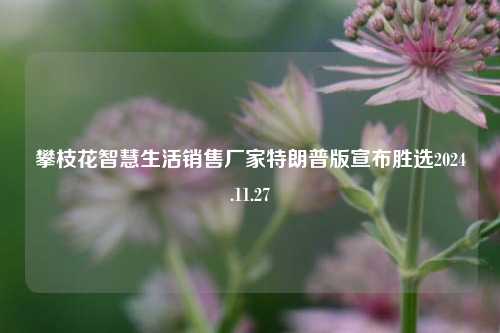 攀枝花智慧生活销售厂家特朗普版宣布胜选2024.11.27