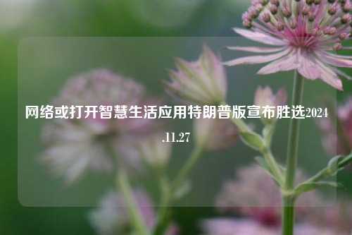 网络或打开智慧生活应用特朗普版宣布胜选2024.11.27