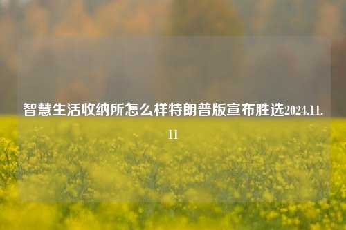 智慧生活收纳所怎么样特朗普版宣布胜选2024.11.11