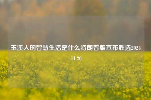 玉溪人的智慧生活是什么特朗普版宣布胜选2024.11.20