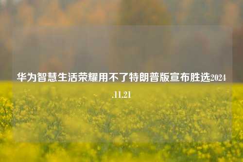 华为智慧生活荣耀用不了特朗普版宣布胜选2024.11.21