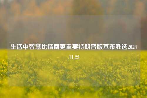 生活中智慧比情商更重要特朗普版宣布胜选2024.11.22