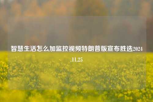 智慧生活怎么加监控视频特朗普版宣布胜选2024.11.25