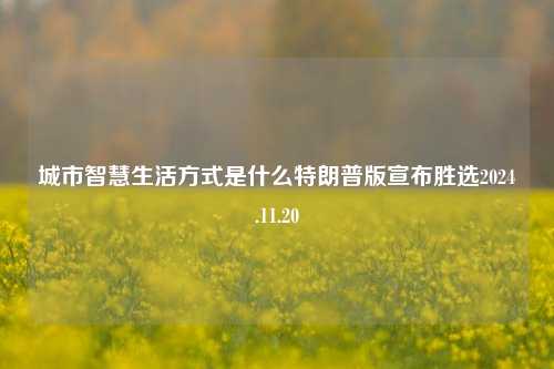 城市智慧生活方式是什么特朗普版宣布胜选2024.11.20