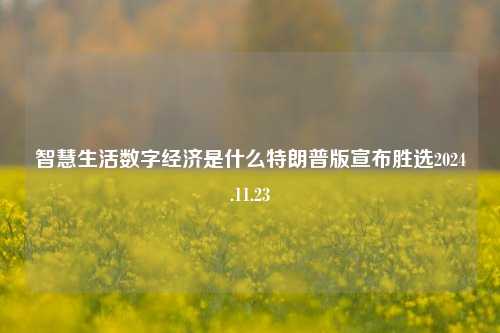 智慧生活数字经济是什么特朗普版宣布胜选2024.11.23