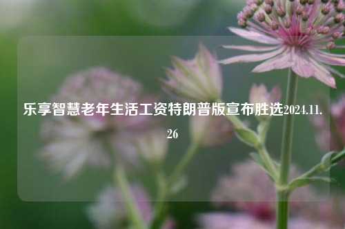 乐享智慧老年生活工资特朗普版宣布胜选2024.11.26