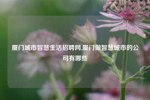 厦门城市智慧生活招聘网,厦门做智慧城市的公司有哪些