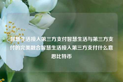 智慧生活接入第三方支付智慧生活与第三方支付的完美融合智慧生活接入第三方支付什么意思比特币