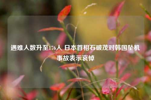 遇难人数升至176人 日本首相石破茂对韩国坠机事故表示哀悼