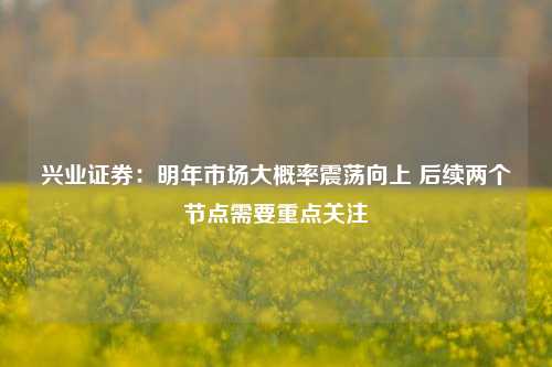 兴业证券：明年市场大概率震荡向上 后续两个节点需要重点关注