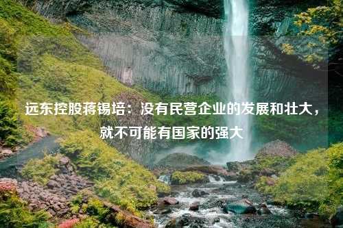 远东控股蒋锡培：没有民营企业的发展和壮大，就不可能有国家的强大