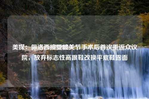 美媒：佩洛西接受髋关节手术后首次重返众议院，放弃标志性高跟鞋改换平底鞋露面