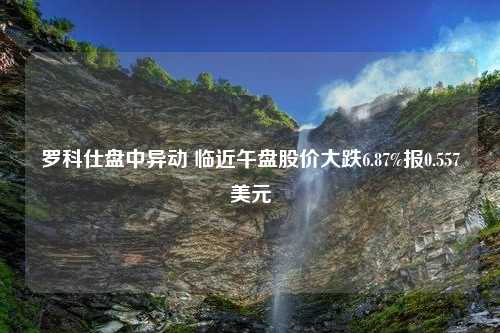 罗科仕盘中异动 临近午盘股价大跌6.87%报0.557美元