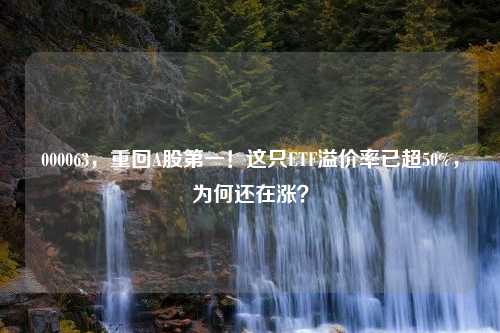 000063，重回A股第一！这只ETF溢价率已超50%，为何还在涨？