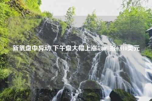 新氧盘中异动 下午盘大幅上涨5.80%报0.910美元