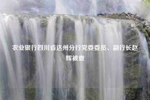 农业银行四川省达州分行党委委员、副行长赵辉被查