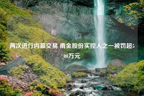 两次进行内幕交易 甬金股份实控人之一被罚超500万元