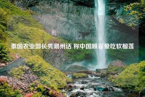 泰国农业部长秀潮州话 称中国顾客爱吃软榴莲