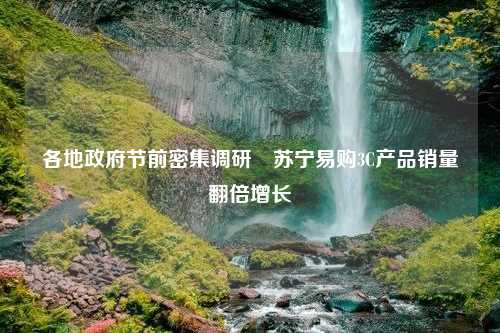 各地政府节前密集调研 苏宁易购3C产品销量翻倍增长