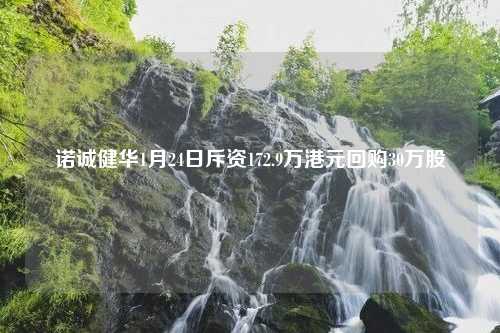 诺诚健华1月24日斥资172.9万港元回购30万股