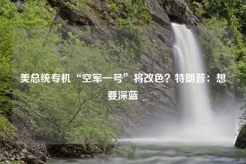 美总统专机“空军一号”将改色？特朗普：想要深蓝