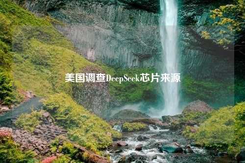 美国调查DeepSeek芯片来源