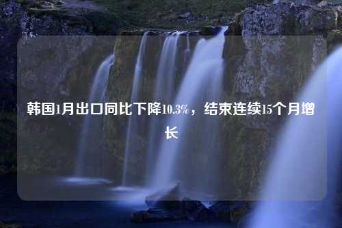 韩国1月出口同比下降10.3%，结束连续15个月增长