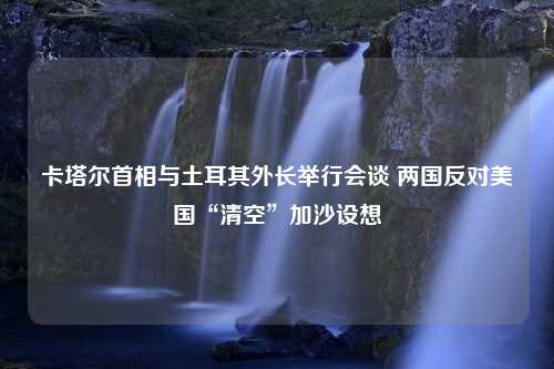 卡塔尔首相与土耳其外长举行会谈 两国反对美国“清空”加沙设想