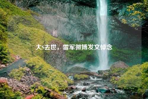 大S去世，雷军微博发文悼念