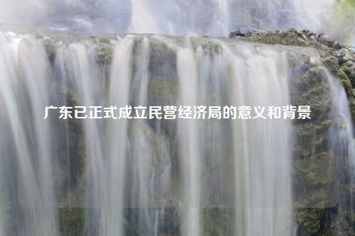 广东已正式成立民营经济局的意义和背景