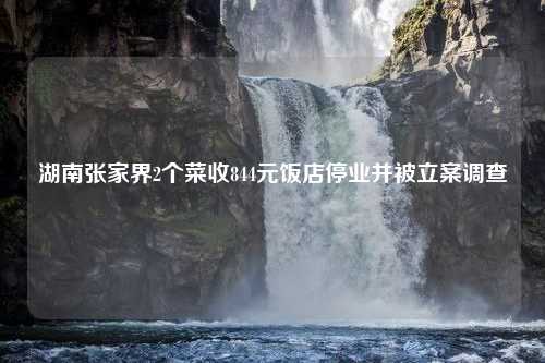 湖南张家界2个菜收844元饭店停业并被立案调查