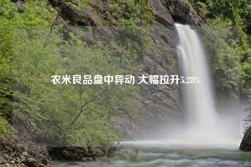 农米良品盘中异动 大幅拉升5.28%