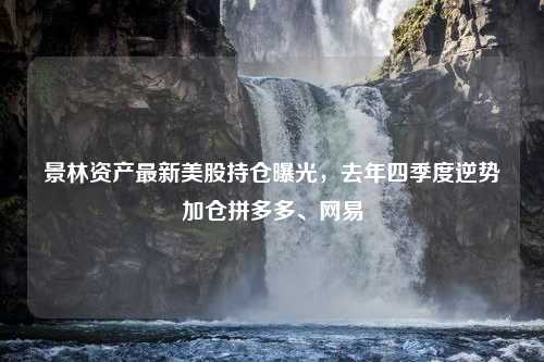 景林资产最新美股持仓曝光，去年四季度逆势加仓拼多多、网易