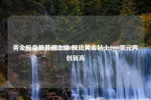 黄金股盘前普遍上涨 现货黄金站上2900美元再创新高