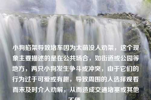 小狗掐架导致堵车因为太萌没人劝架，这个现象主要描述的是在公共场合，如街道或公园等地方，两只小狗发生争斗或冲突，由于它们的行为过于可爱或有趣，导致周围的人选择观看而未及时介入劝解，从而造成交通堵塞或其他不便。