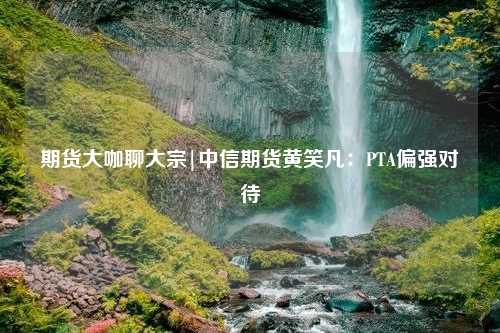 期货大咖聊大宗|中信期货黄笑凡：PTA偏强对待