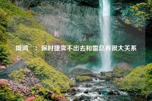 周鸿祎：保时捷卖不出去和雷总有很大关系