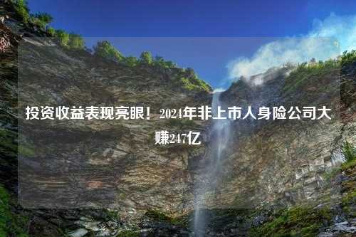 投资收益表现亮眼！2024年非上市人身险公司大赚247亿