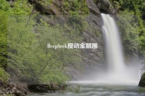 DeepSeek搅动金融圈