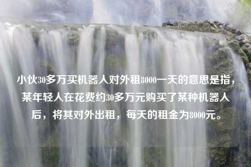 小伙30多万买机器人对外租8000一天的意思是指，某年轻人在花费约30多万元购买了某种机器人后，将其对外出租，每天的租金为8000元。